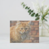 Niedliche Funky Ginger Cat Kitten Face Postkarte (Stehend Vorderseite)