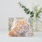 Niedliche Funky Ginger Cat Kitten Painting Postkarte (Stehend Vorderseite)