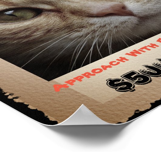 Niedliche Funny Cat Gewollt Bild Poster (Ecke)