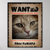Niedliche Funny Cat Gewollt Bild Poster (Vorne)