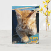 Niedliche Funny Cat Happy Birthday Grußkarte Karte (Gelbe Blume)