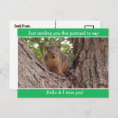 Niedliche Funny Eichhörnchen Just Sprichwort Hello Postkarte (Vorne/Hinten)