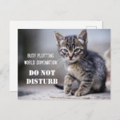 Niedliche Funny Kitten nicht stören Postkarte (Vorne/Hinten)