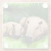 Niedliche Funny Napping Capybaras am Teich Glasuntersetzer (Rückseite)