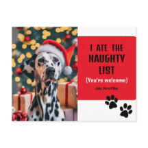 Niedliche Funny Naughty List Haustier Foto Weihnac