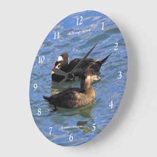 Niedliche Funny Surf Scoter Enten Schwimmen am Pie Große Wanduhr
