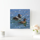 Niedliche Funny Surf Scoter Enten Schwimmen am Pie Quadratische Wanduhr (Zuhause)