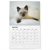 Niedliche Furry Purry Cat Lovers Kalender (Mär 2027)