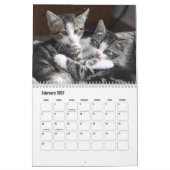Niedliche Furry Purry Cat Lovers Kalender (Feb 2027)