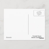 Niedliche Gänsegel Postkarte (Rückseite)