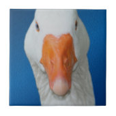 Niedliche Gänsenatur Fliese (Vorderseite)