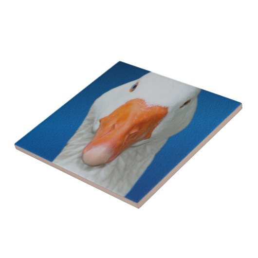 Niedliche Gänsenatur Fliese (Seite)