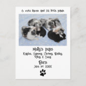 Niedliche Geburtsankündigung von Welpen Postkarte (Vorderseite)