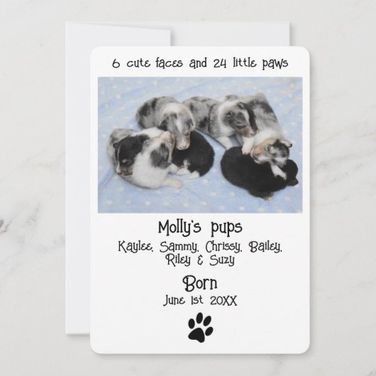 Niedliche Geburtskarte von Welpen (Vorderseite)