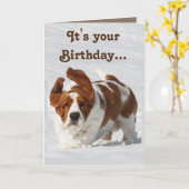 Niedliche Geburtstag Card mit Basset Hound/Champag Karte (Gelbe Blume)