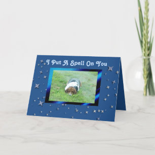 Niedliche Geburtstag Card mit Basset Hound und Mag Karte