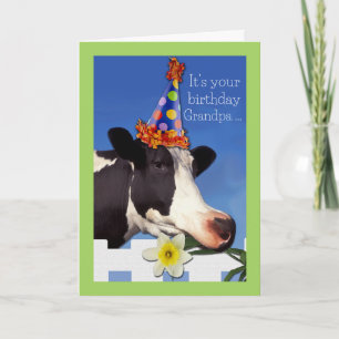 Niedliche Geburtstag für Großvater mit Funny Cow C Karte