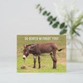 Niedliche gelangweilte Donkey-Postkarte Postkarte (Stehend Vorderseite)