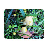 Niedliche gelbe Pilze, Oregon Magnet (Horizontal)