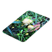 Niedliche gelbe Pilze, Oregon Magnet (Linke Seite)