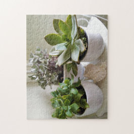 Niedliche gepolsterte Sukkulente mit Seashell-Foto Puzzle