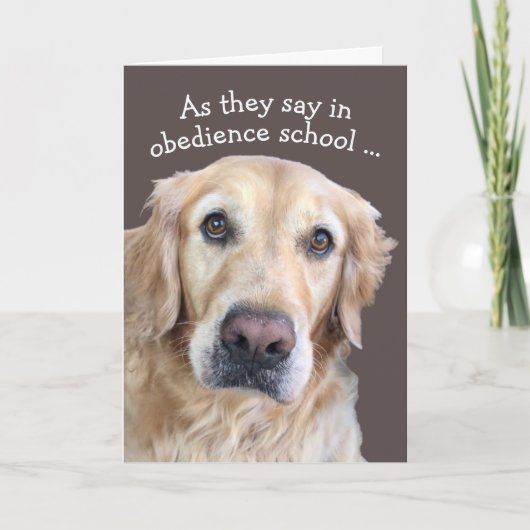 Niedliche Get Well-Card Karte (Vorderseite)