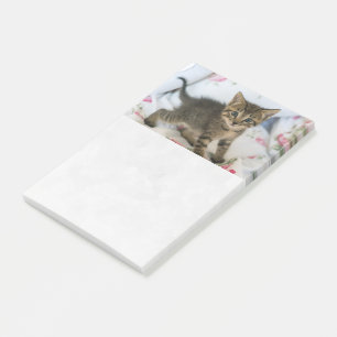 Niedliche getigerte Katze sieht überrascht aus Post-it Klebezettel