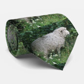 Niedliche gierige Schafe essen Krawatte (Gerollt)