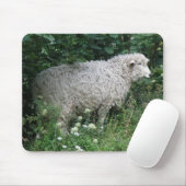 Niedliche gierige Schafe essen Mousepad (Mit Mouse)