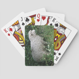 Niedliche Giftschaf-Spielkarten Spielkarten