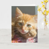 NIEDLICHE GINGER CAT KITTEN HELLO-KARTEN KARTE (Gelbe Blume)