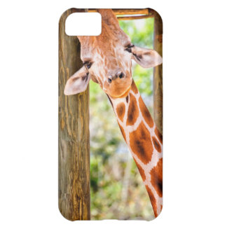 Niedliche Giraffe iPhone 5C Hülle
