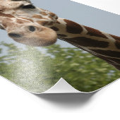 Niedliche Giraffe Fotodruck (Ecke)
