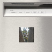 Niedliche Giraffe Nahaufnahme Kühlschrankmagnet (In Situ (Geschirrspüler))