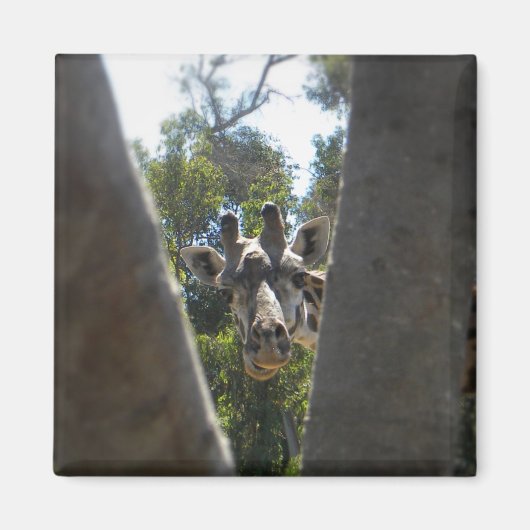 Niedliche Giraffe Nahaufnahme Kühlschrankmagnet (Vorne)
