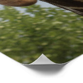 Niedliche Giraffe Poster (Ecke)