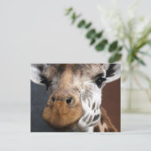 Niedliche Giraffe Postkarte (Stehend Vorderseite)