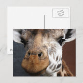 Niedliche Giraffe Postkarte (Vorne/Hinten)