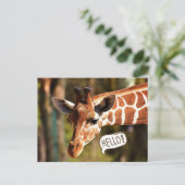 Niedliche Giraffe Postkarte (Stehend Vorderseite)
