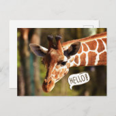 Niedliche Giraffe Postkarte (Vorne/Hinten)