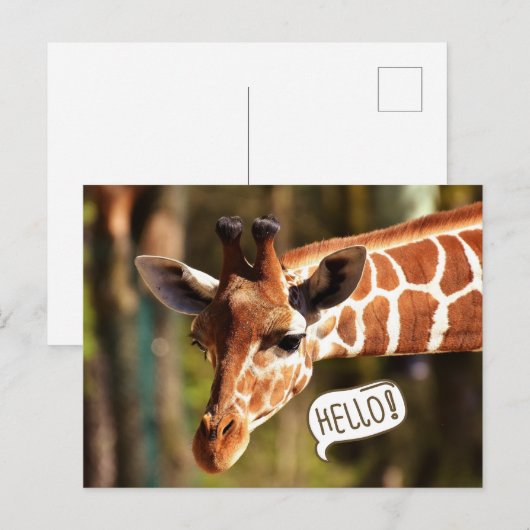 Niedliche Giraffe Postkarte (Vorne/Hinten)