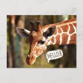 Niedliche Giraffe Postkarte (Vorderseite)