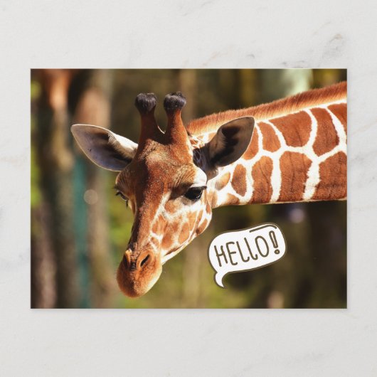 Niedliche Giraffe Postkarte (Vorderseite)