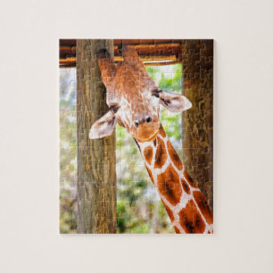 Niedliche Giraffe Puzzle