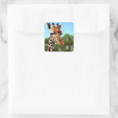 Niedliche Giraffe Quadratischer Aufkleber (Tasche)
