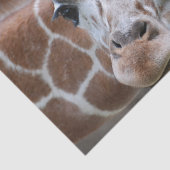 Niedliche Giraffe Seidenpapier (Ausschnitt)