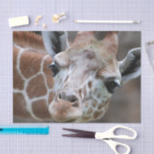 Niedliche Giraffe Seidenpapier (Handwerk)