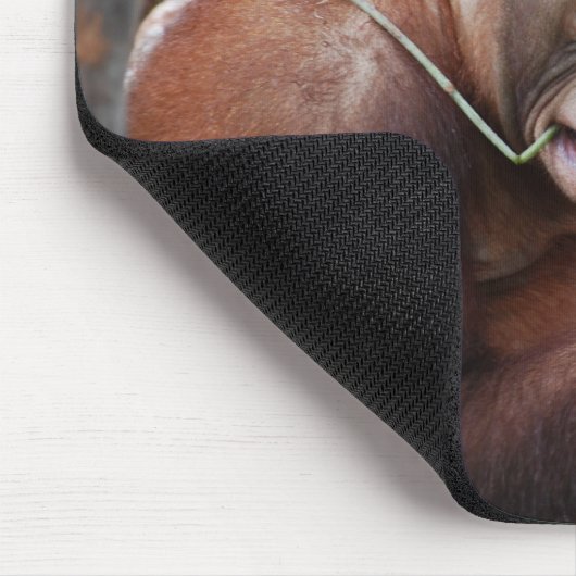 Niedliche Glasschlacke Ihre Zähne Tier Mousepad (Ecke)