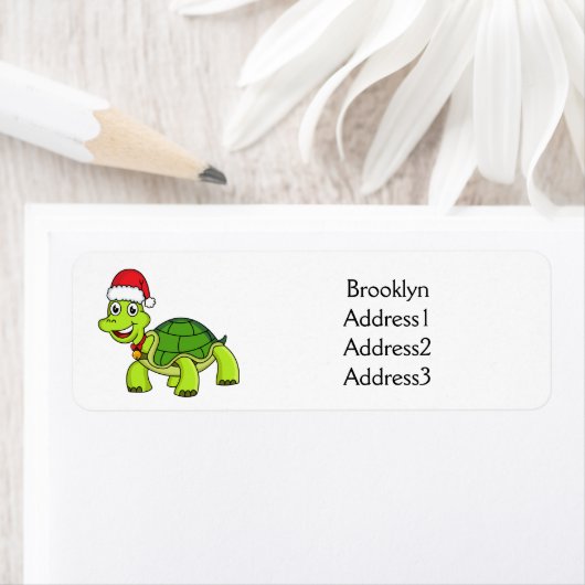 Niedliche glückliche Schildkröte mit Weihnachtsman (Insitu)