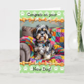 Niedliche Glückwunsch auf Ihrem neuen Lhaso Apso D Karte (Vorderseite)